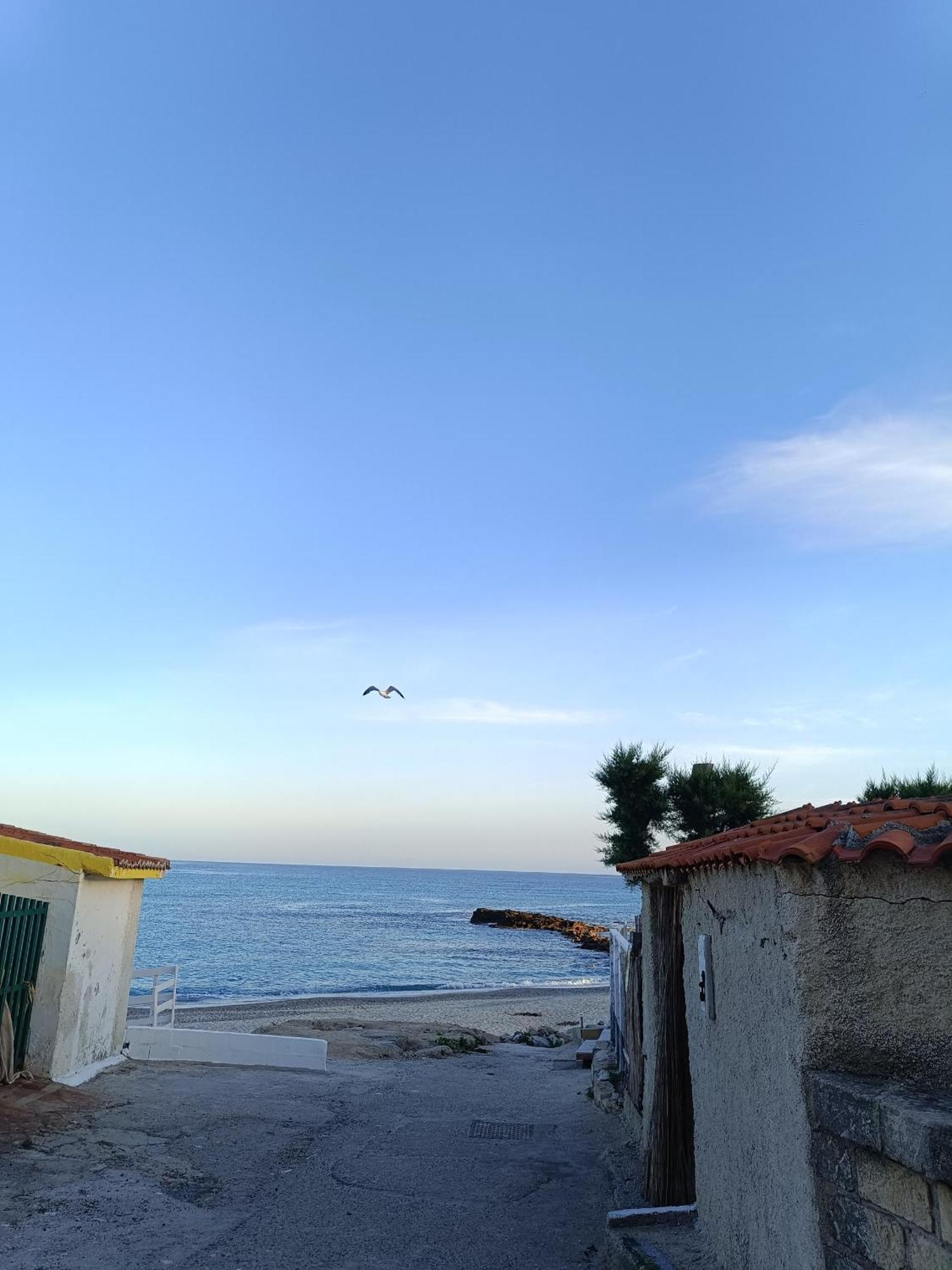 Stefanelli