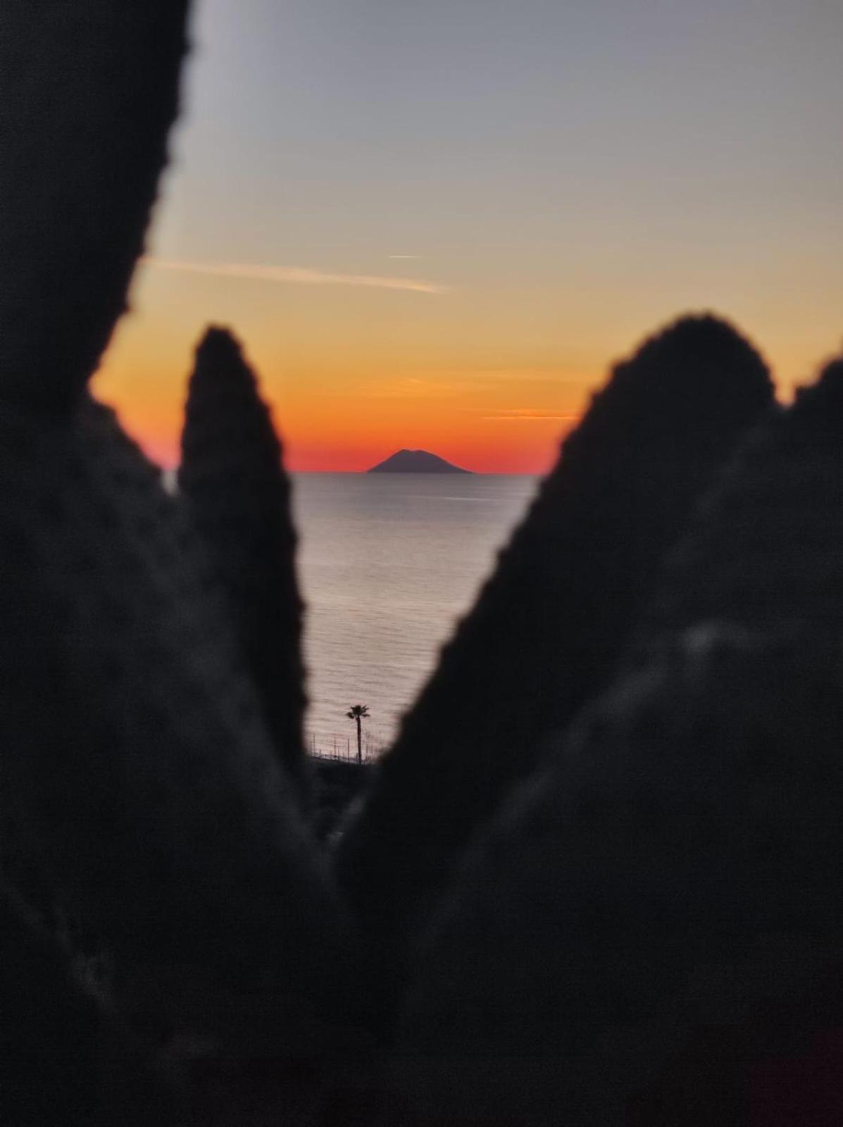 Stefanelli Tropea